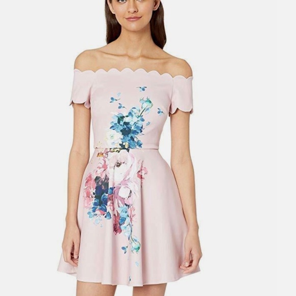 NWT Ted Baker Dress Raspbery Bardot Skater  size:5,  light pink,  painted flower - Picture 1 of 11